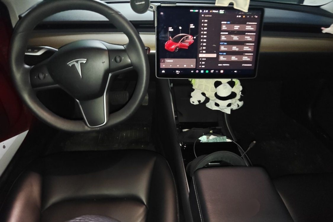 Tesla Model 3 2020 immagine di auto #21