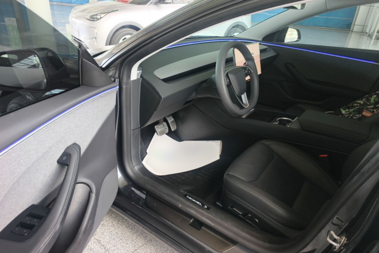 Tesla Model 3 2024 immagine di auto #16