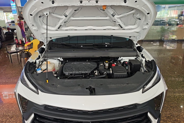 Forthing T5 EVO 2024 immagine di auto #22