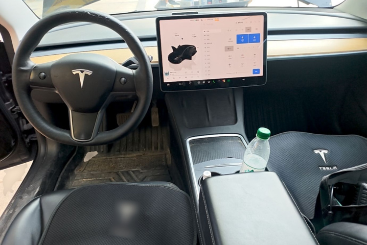 Tesla Model 3 2022 #10 Tesla Model 3 2022 immagine di auto #10