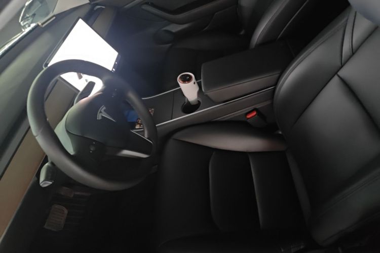 Tesla Model 3 2020 car image #15