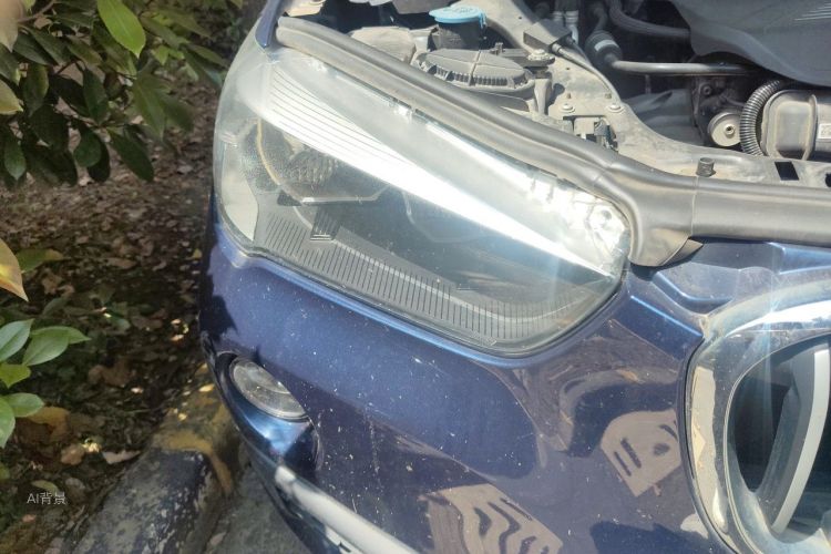 BMW X1 2018 car image #8