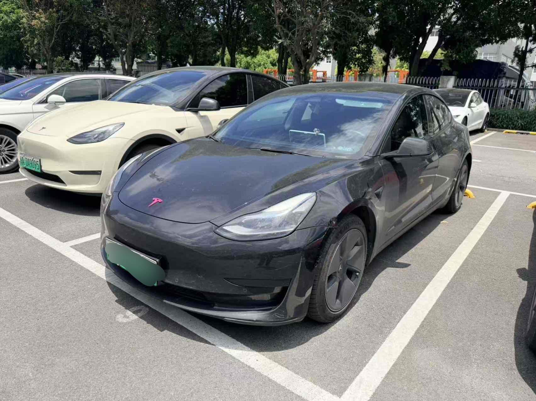 Tesla Model 3 2022 Tesla Model 3 2022 car image