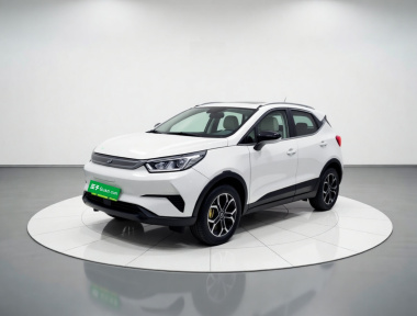 BYD Yuan Pro 2021 immagine di auto 