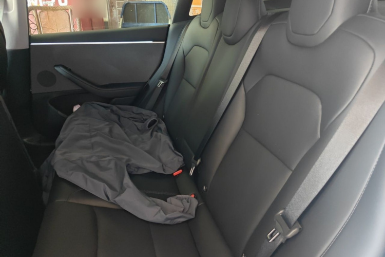 Tesla Model 3 2024 #10 Tesla Model 3 2024 car image #10