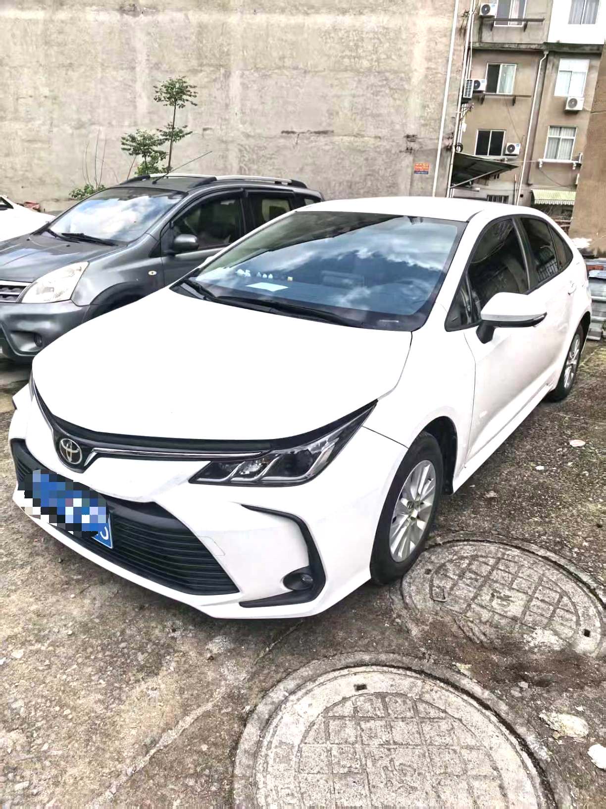 Toyota Corolla 2020 Toyota Corolla 2020 car image