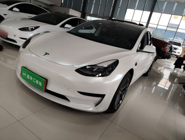 Tesla Model 3 2023 Tesla Model 3 2023 car image