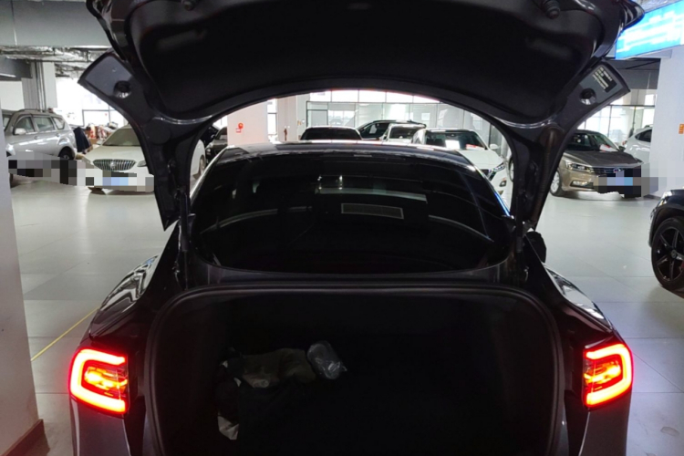 Tesla Model 3 2020 #19 Tesla Model 3 2020 car image #19