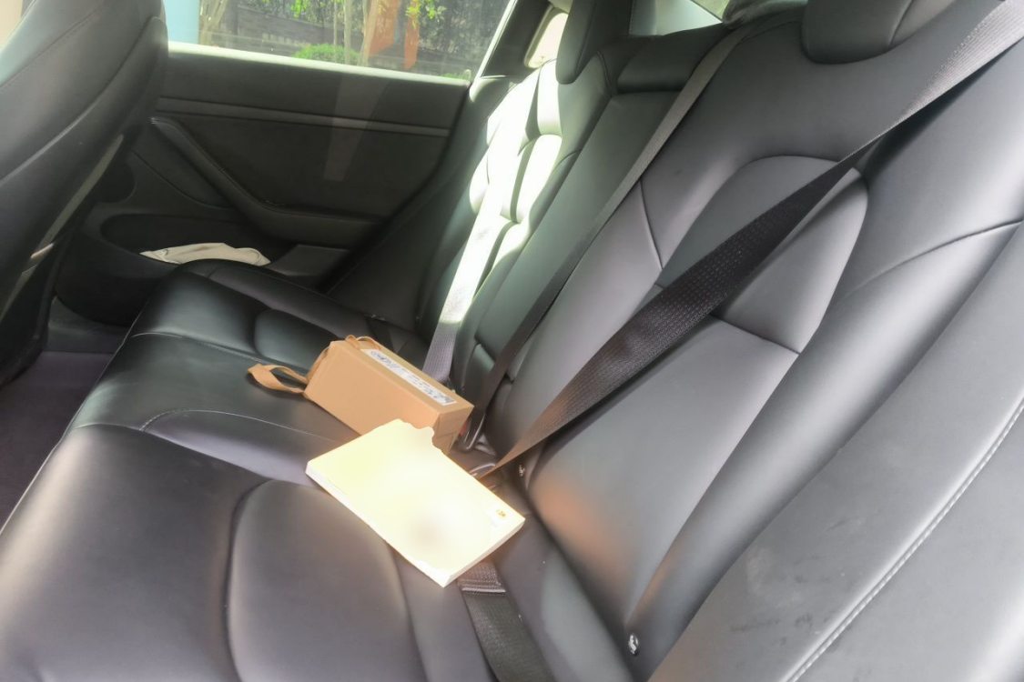 Tesla Model 3 2021 car image #19