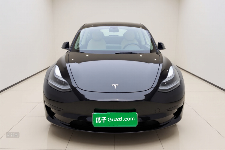 Tesla Model 3 2022 immagine di auto #3