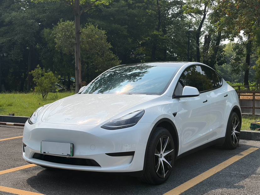Tesla Model Y 2024 car image 