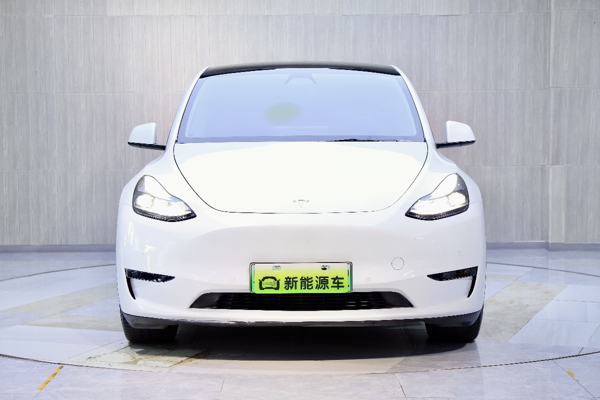 Tesla Model Y 2021 #3 Tesla Model Y 2021 изображение автомобиля #3