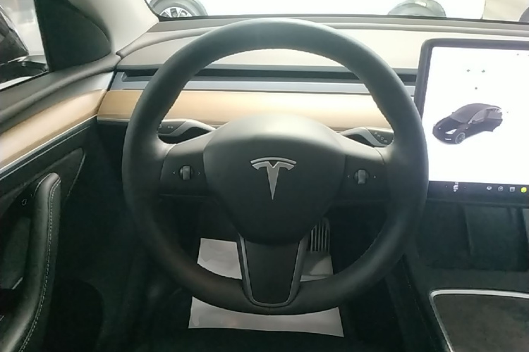 Tesla Model Y 2021 car image #11