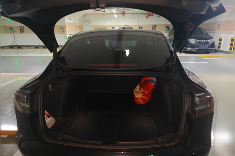 Tesla Model 3 2021 #21 Tesla Model 3 2021 car image #21