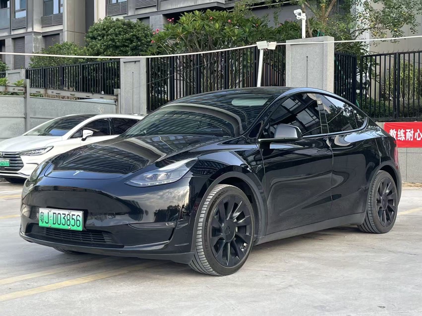Tesla Model Y 2021 Tesla Model Y 2021 car image