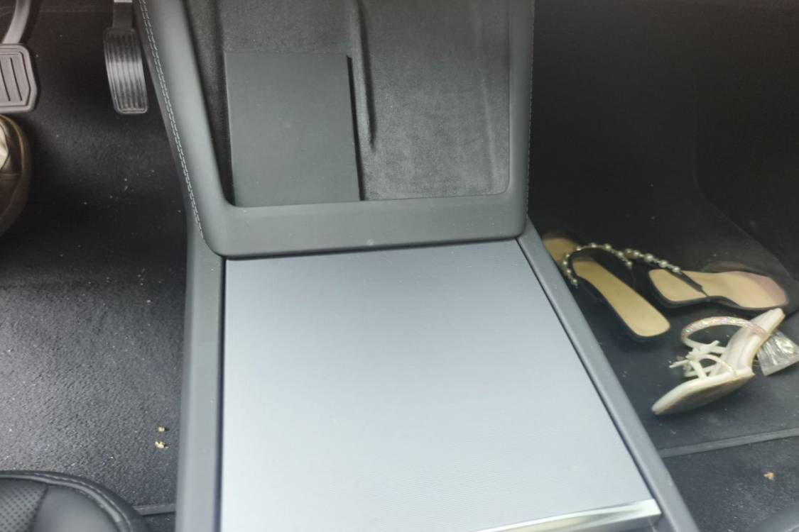 Tesla Model 3 2025 car image #29