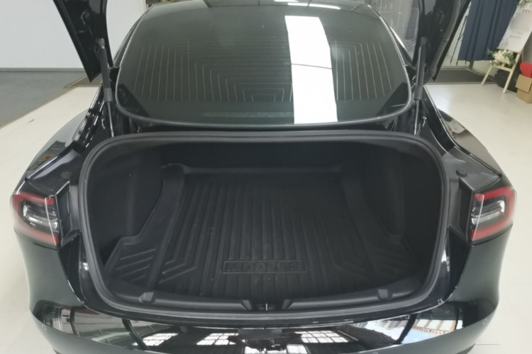 Tesla Model 3 2020 #21 Tesla Model 3 2020 car image #21