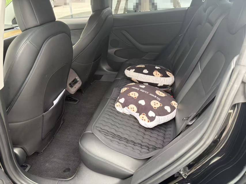 Tesla Model 3 2021 #6 Tesla Model 3 2021 car image #6