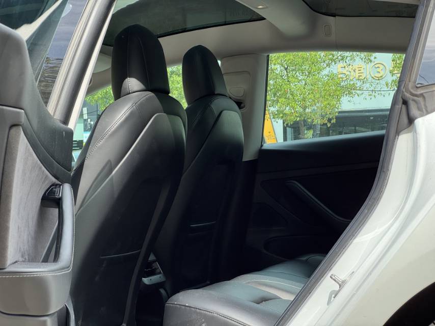 Tesla Model 3 2020 car image #7