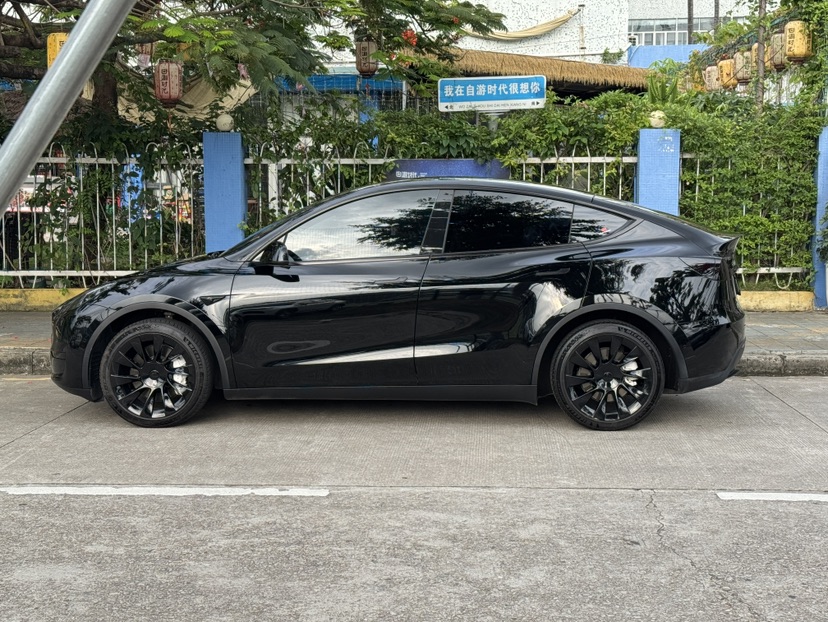 Tesla Model Y 2023 #8 Tesla Model Y 2023 car image #8