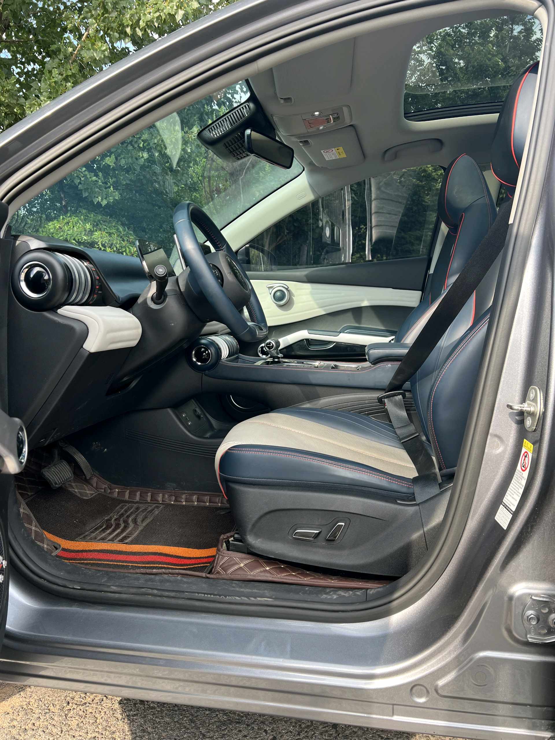 BYD Yuan Plus 2022 car image #8