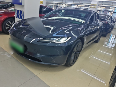 Tesla Model 3 2024 car image 