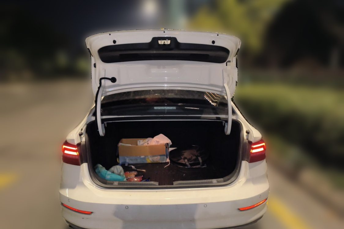 Volkswagen Lavida 2019 car image #8