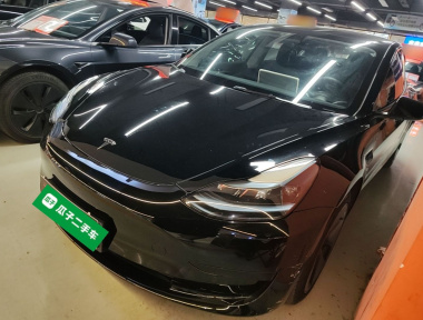Tesla Model 3 2023 Tesla Model 3 2023 car image