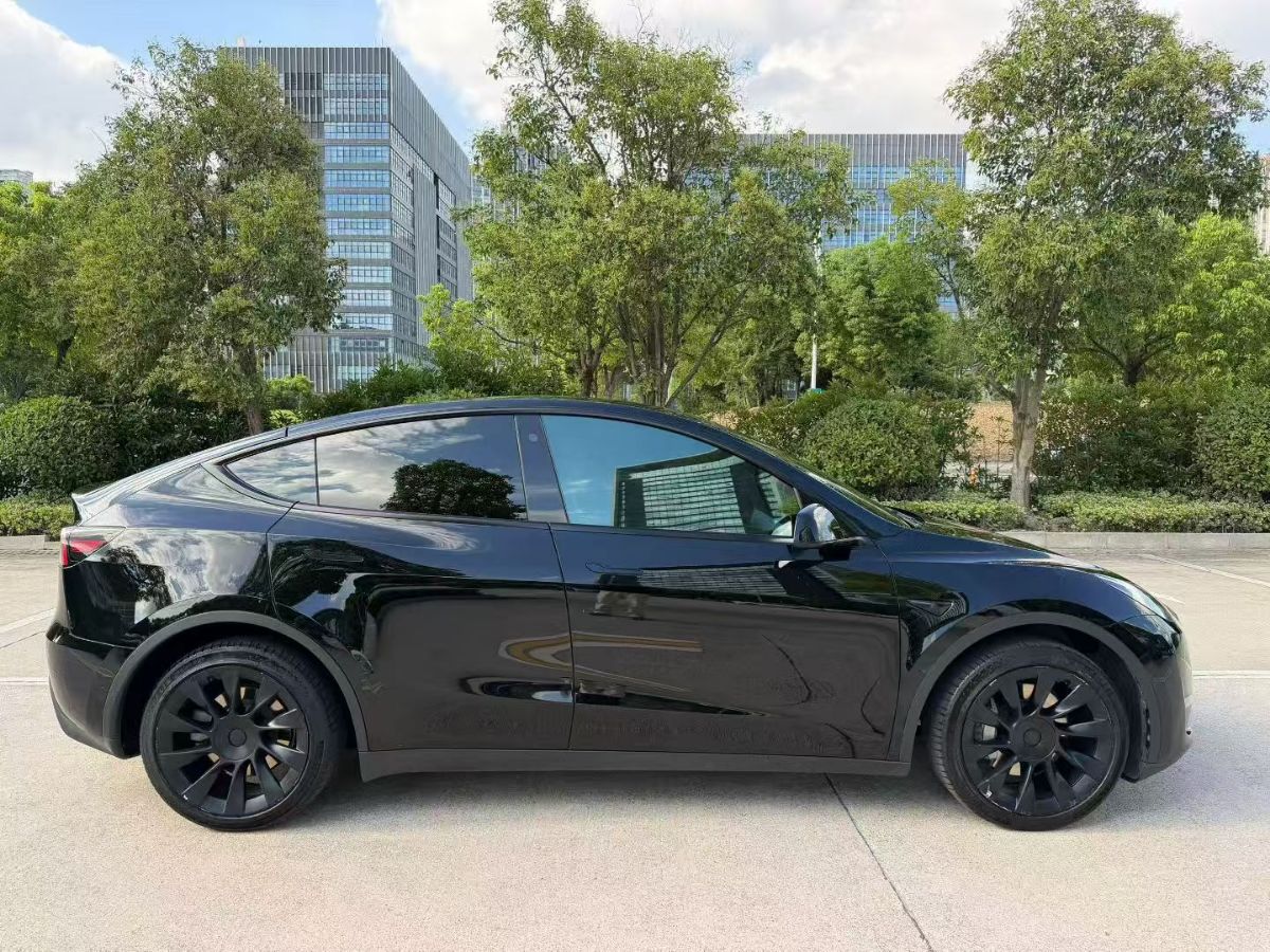 Tesla Model Y 2023 #8 Tesla Model Y 2023 car image #8