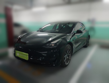 Tesla Model 3 2023 Tesla Model 3 2023 car image