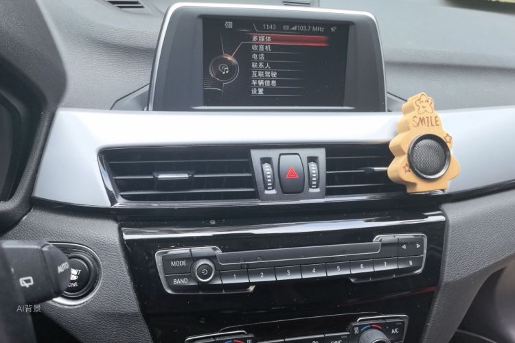 BMW X1 2017 car image #15