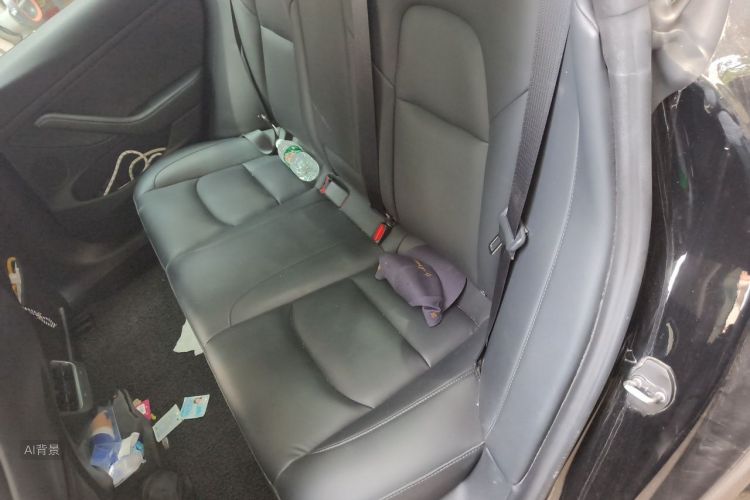 Tesla Model 3 2021 #19 Tesla Model 3 2021 car image #19
