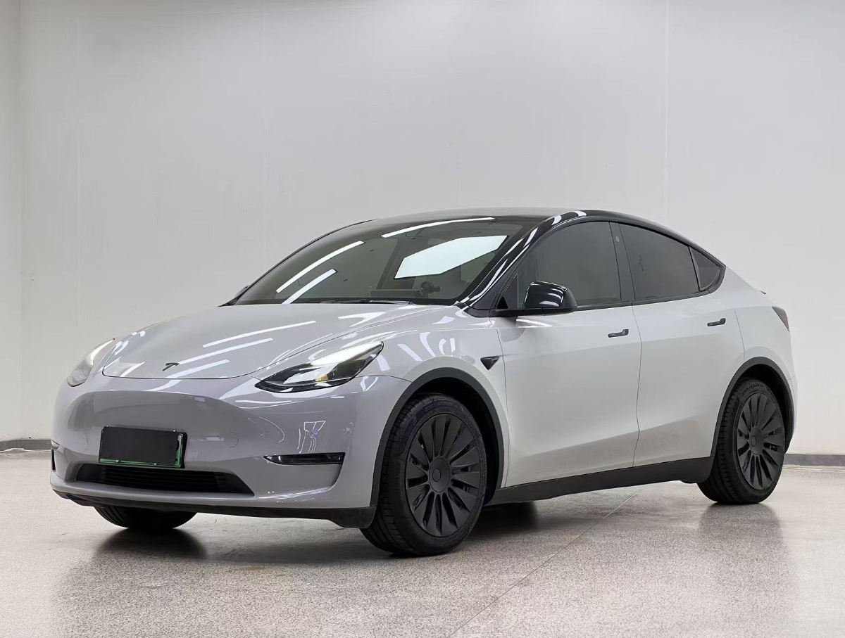 Tesla Model Y 2021 Tesla Model Y 2021 car image