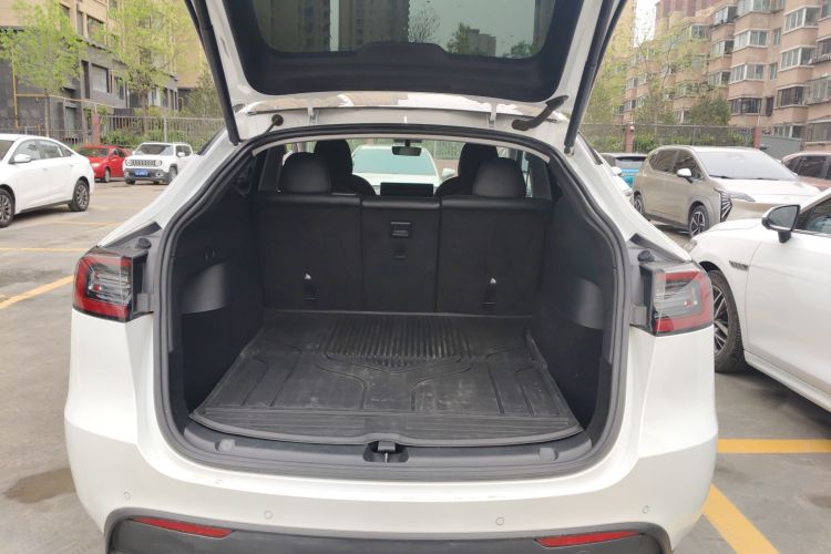 Tesla Model Y 2021 car image #19