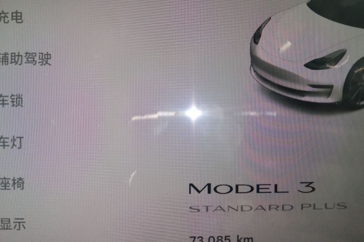 Tesla Model 3 2020 car image #10