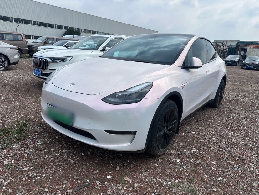 Tesla Model Y 2022 car image 