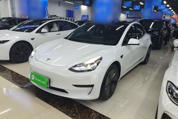 Tesla Model 3 2023 #2 Tesla Model 3 2023 car image #2