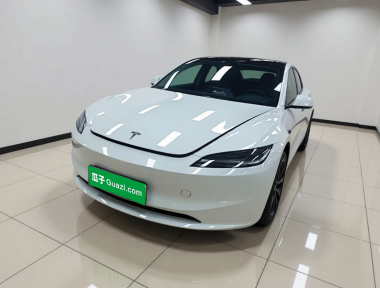 Tesla Model 3 2025 Tesla Model 3 2025 car image