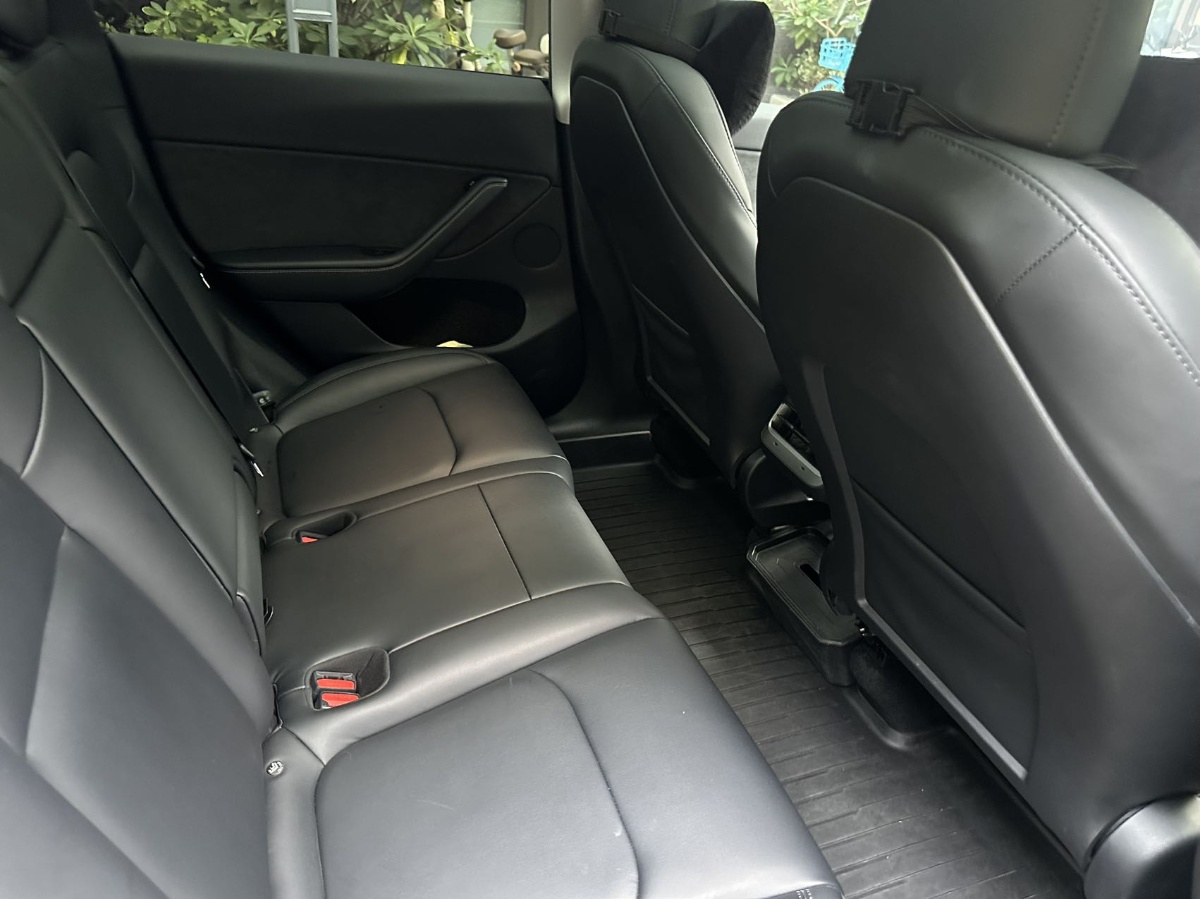 Tesla Model Y 2024 car image #6