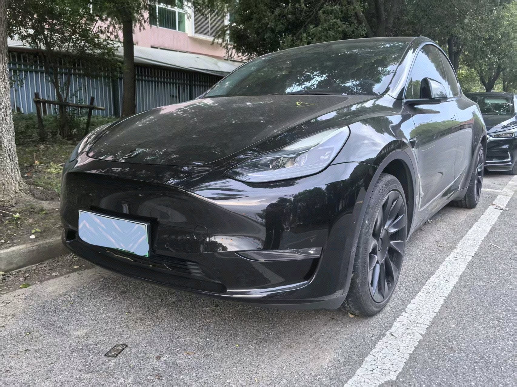 Tesla Model Y 2021 Tesla Model Y 2021 car image