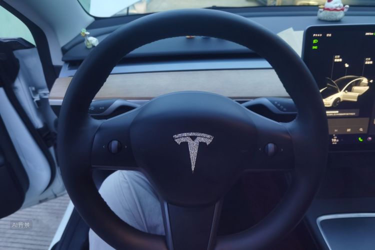 Tesla Model 3 2021 #13 Tesla Model 3 2021 car image #13