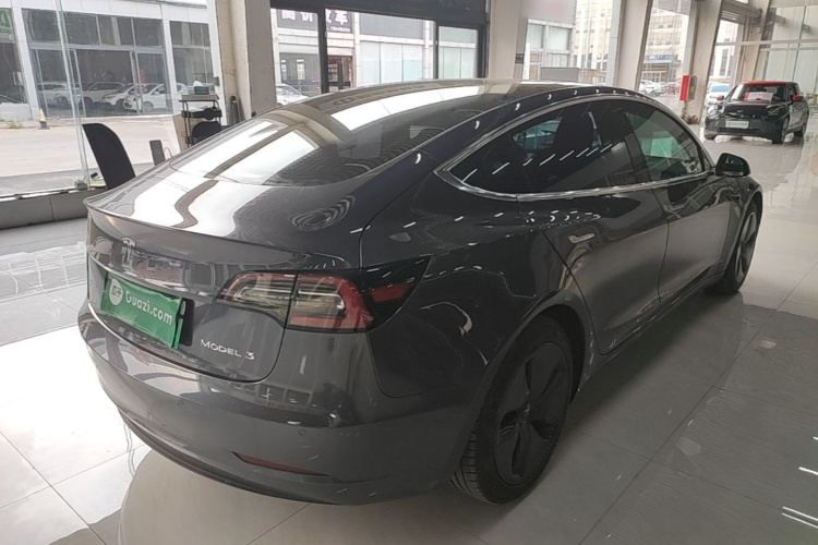 Tesla Model 3 2020 car image #7