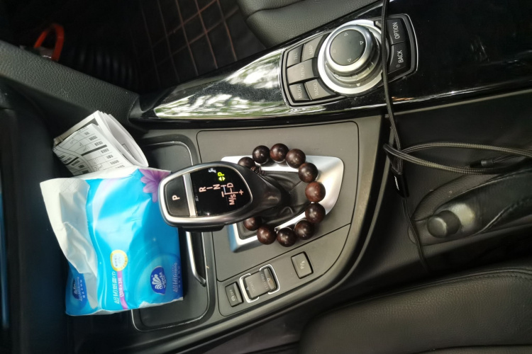 BMW 3 Series 2017 car image #18