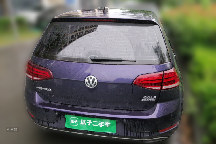 Volkswagen Golf 2019 car image #6
