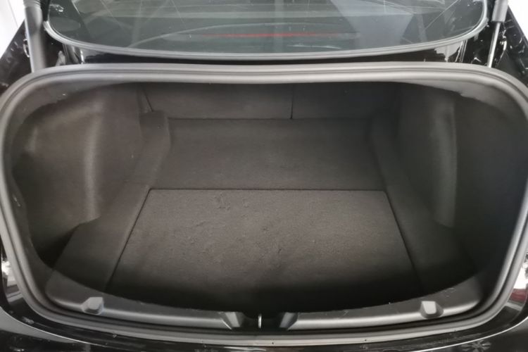 Tesla Model 3 2021 car image #19