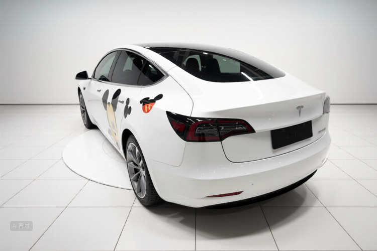 Tesla Model 3 2020 car image #5