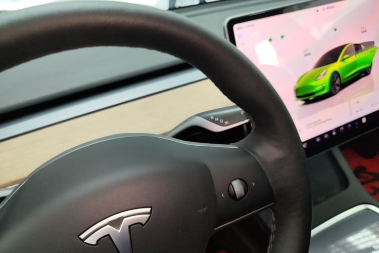 Tesla Model 3 2022 car image #18