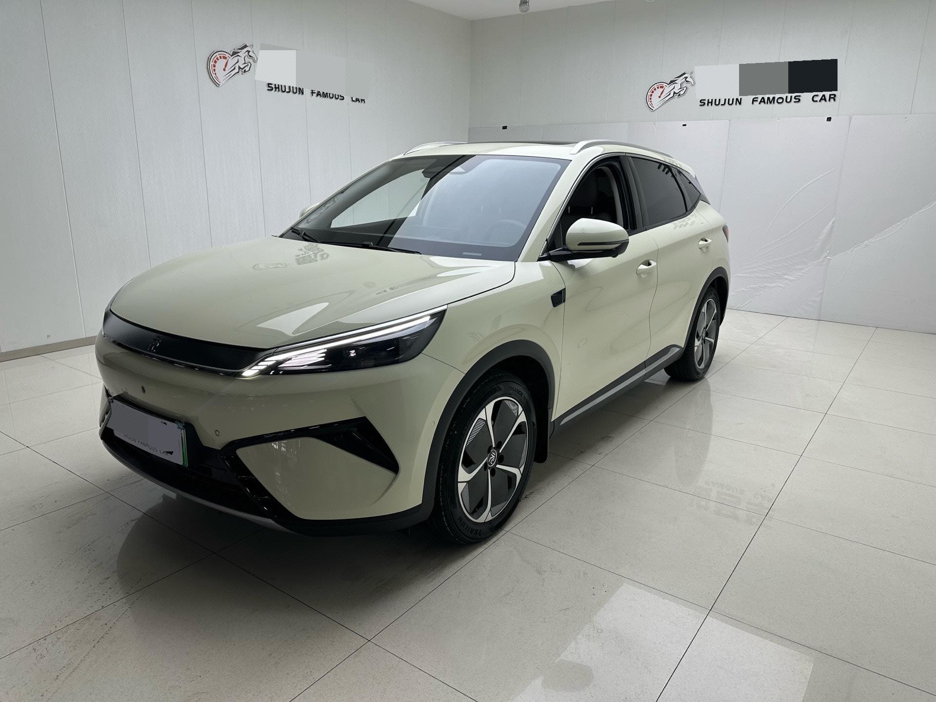 BYD Yuan Plus 2025 car image 