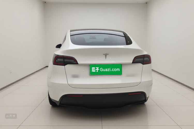 Tesla Model Y 2024 car image #6