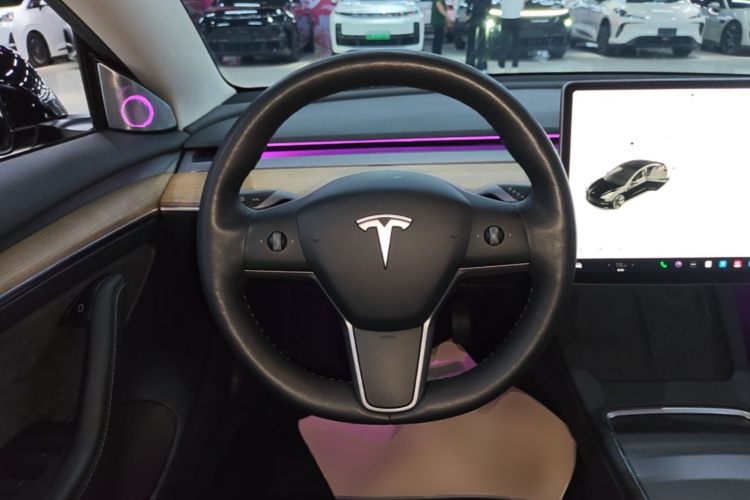 Tesla Model 3 2021 car image #11